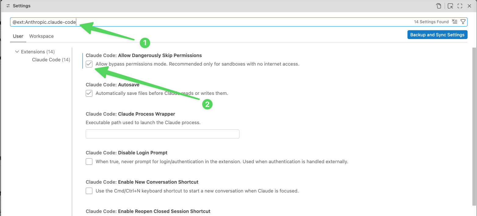 Visual Studio Code settings showing the Claude Code Allow Dangerously Skip Permissions checkbox